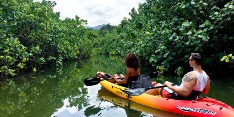 Best Oahu Kayak Tour