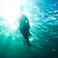 Snorkeling in oahu