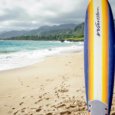 Laie, Oahu beginner surfboard rentals
