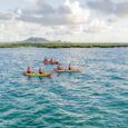 Kayaking in Kailua Bay on a kayak tour with Popoia Island, Flat Island, in the background