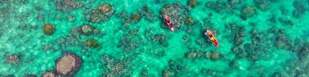 Kayaking over sea turtle habitat in kailua bay