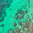 Kayakers paddling through sea turtle habitats and reef near kailua